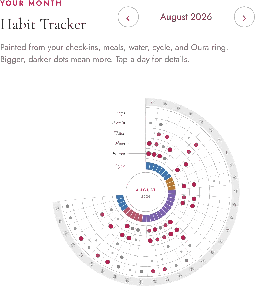 Zana's radial habit tracker for August 2026, with rings for steps, protein, water, mood, energy and cycle phase